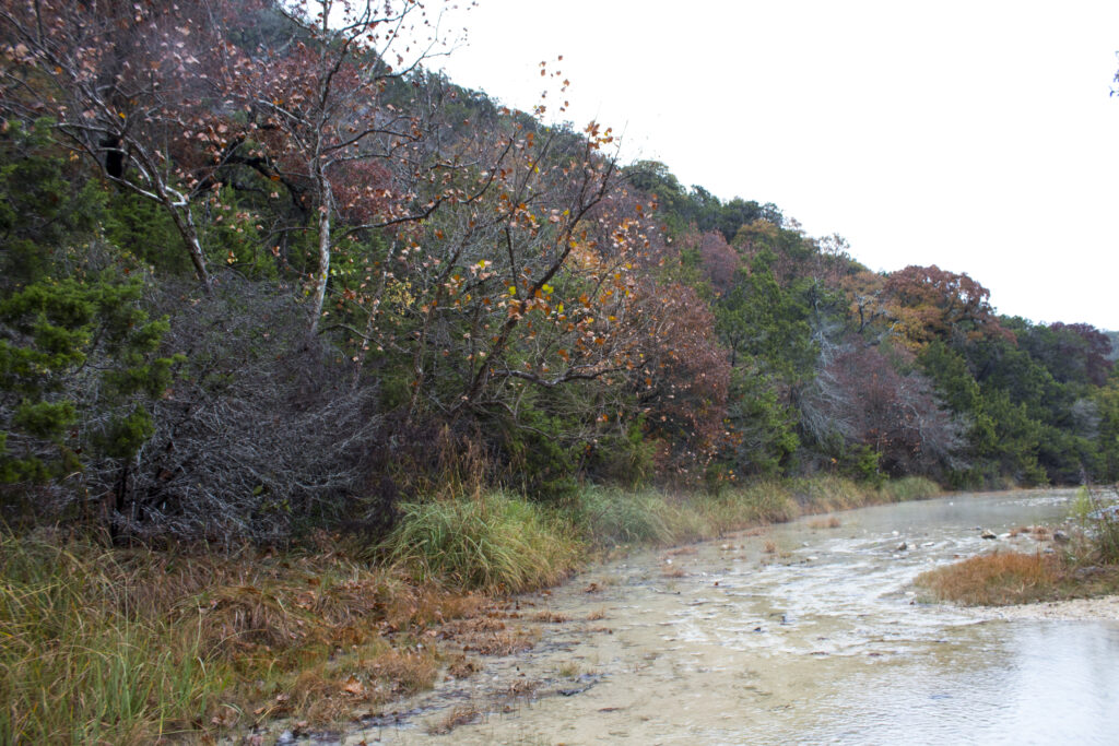 Fall coloured trees near a small, cold moving river after a light rain.